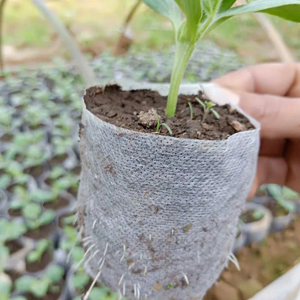 Biodegradable Nursery Bags