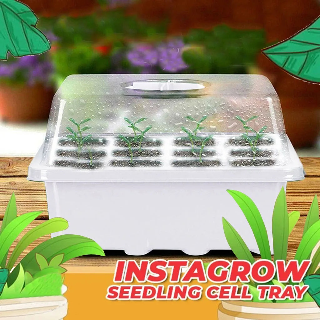 12 Hole Plant Seed Grow Box