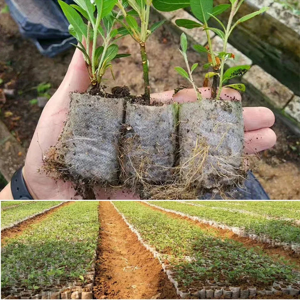 Biodegradable Nursery Bags